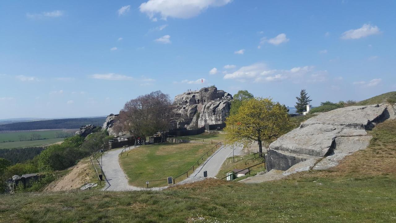 Pension Goldbachmuehle Blankenburg  Exteriér fotografie