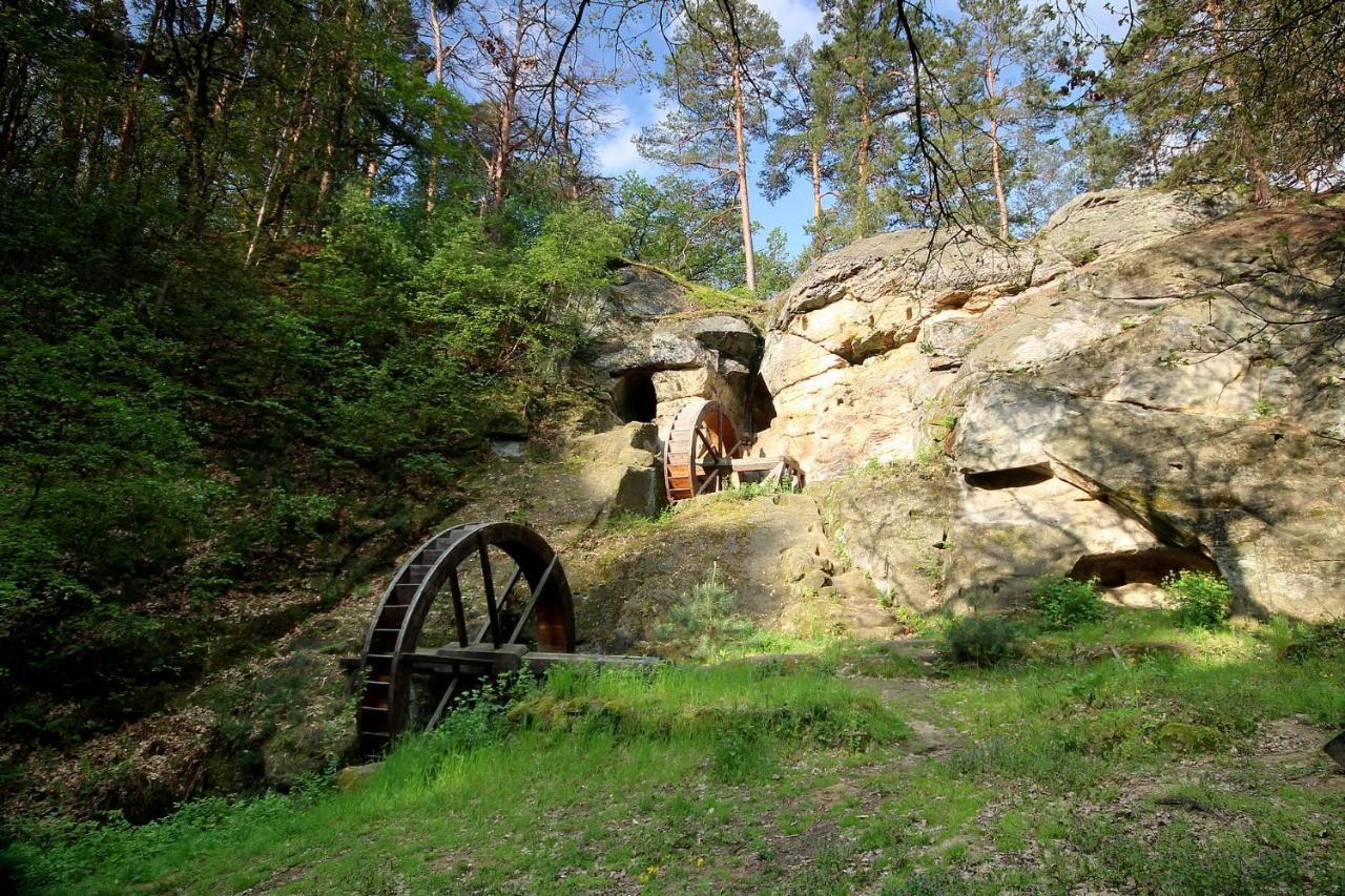 Pension Goldbachmuehle Blankenburg  Exteriér fotografie